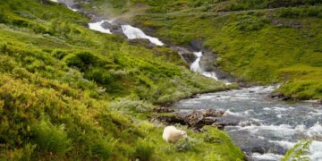 Can the smallest and simplest chemical element accelerate the energy transition and contribute to a significant reduction in CO2 emissions?