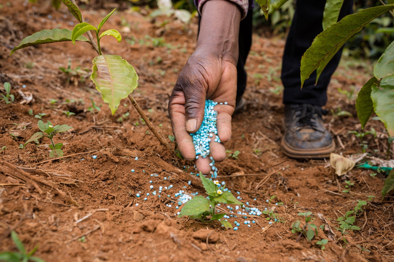 Fertilizers have expanded food production, but agricultural intensification comes at a cost to the environment, climate, human, animal, and soil health,