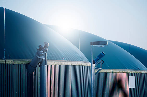 Austria can replace up to 20% of Russian energy imports with biogas, subject to a legal framework, Wiener Zeitung reported.
