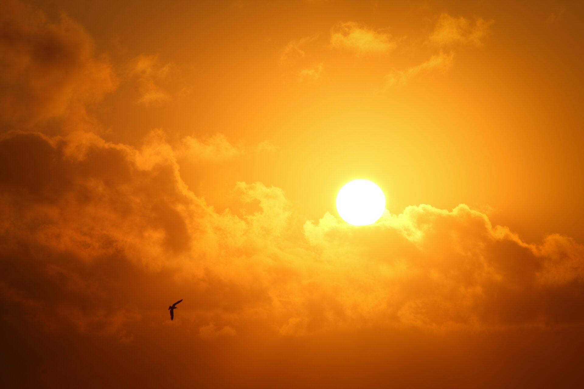 Iberdrola SA has launched Europe's largest solar power plant in western Spain as the country ramps up renewable energy production to cut its dependence on fossil fuels, Bloomberg reported.