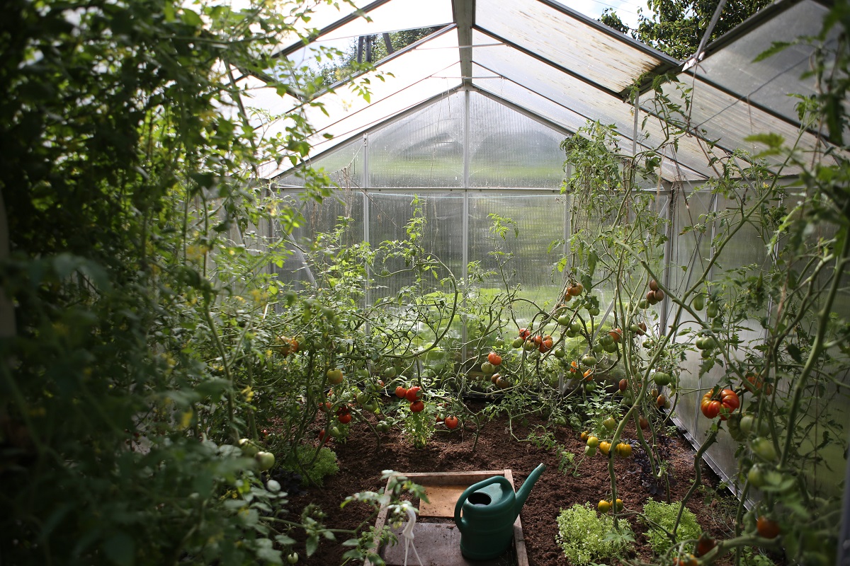 geothermal greenhouses in turkey grow by 400%