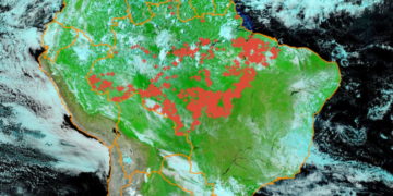 Saving Amazon rainforest is crucial to achieve global climate goals