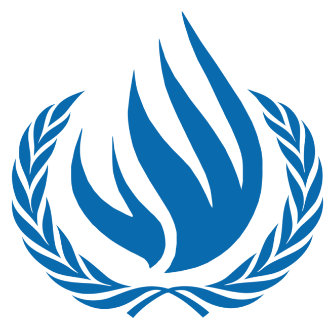 United Nations Human Rights Council