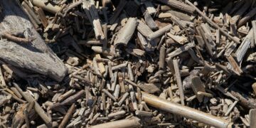 Drax Boomass Buys Pellet Factory in Princeton