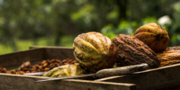 Governments to make mandatory nature disclosures for companies