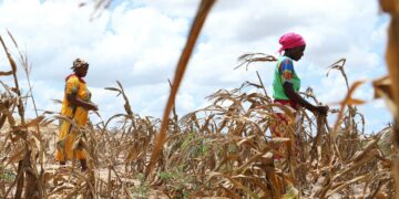 African countries want deeds not talks