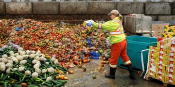 Another climate problem: We are still wasting food