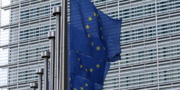 EU's carbon emission market needs global support