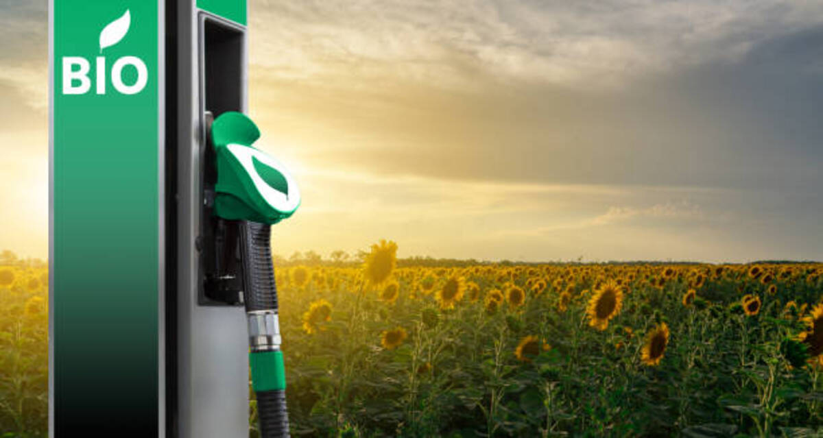 Biofuels to become No. 1 investment for the U.S. administration