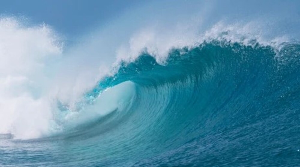 Wave energy systems work, even though they are expensive