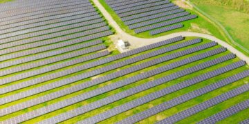 Investments in renewable energy sources this year with a growth of 10%