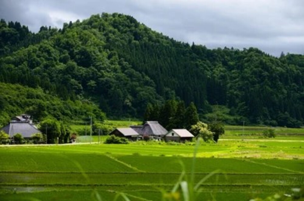 Sustainable future - the goal of Japan's "30by30" initiative
